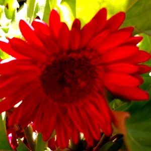 Meet your Posher, Mahoney Gals